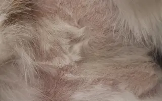 9 nalezených Lásek