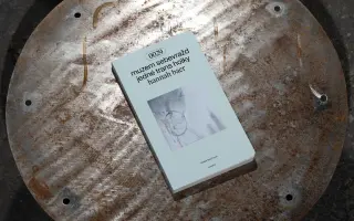 Kaliban a trans girl. Podpořte vydání knih Silvie Federici a hannah baer