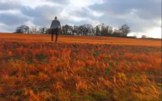 Teorie mizení - nové album Nevermore & Kosmonaut