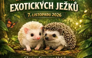 Pomozte nám uspořádat 1. Mezinárodní výstavu exotických ježků v Ústí nad Labem!