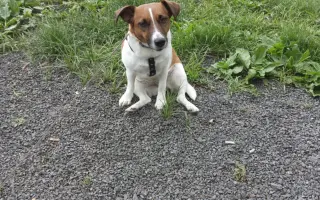 Pomozte naší Jessice s jejím zrakem 🥹🥹