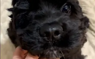 Operace očí  a veterina pro Medvídka Pú 🩷