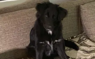 Pomoc pro Lilinku, která bojuje o život.