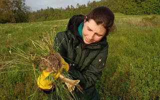 Pomozte Oldovi zachránit další srnčata