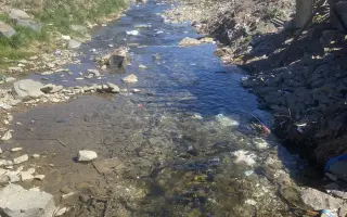 Záchrana pro psy ze slovenských osad 🩷