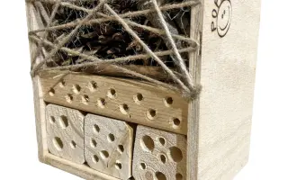 Staňte se spolupachatelem nové detektivky pro děti - NEJEN VOSA LÍTÁ BOSA