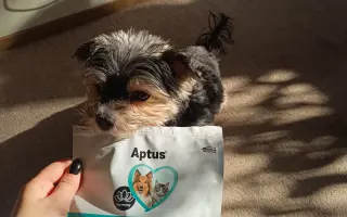 Pomoc pro Čika: boj s Cushingovým syndromem