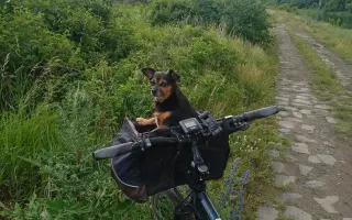 Nové elektrokolo pro Václava: Kolo jsou moje nohy