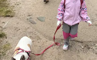 Operace pro buldočku Betty, která jí může zachránit život