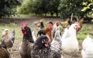 Pomozte nám obnovit domov po ničivých povodních