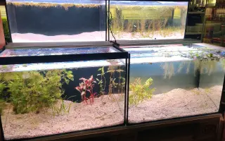 Vytvořme rybkám lepší domov!