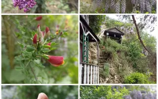 Pomohli jste zachránit domek s pohádkovým kouzlem