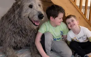 Pomozme mamince Katce a jejím dětem po útěku z toxického prostředí