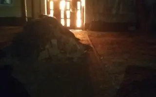 Pomoc po požáru domu