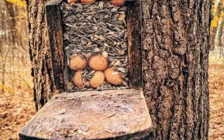 POMOC PRO FOXÍČKA, ASPENA A TAFFY-JACKA