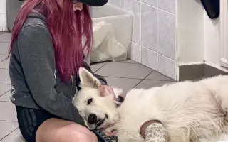 Pomozte Ullymu zase skákat přes kaluže! 🐾