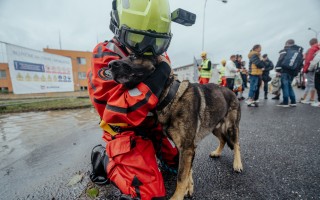 ZVÍŘATA V TÍSNI – POVODNĚ 2024