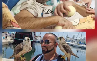 Pomozte Pavlovi vrátit se k nám zpět