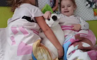 Zdravotnický kočárek pro Natálku