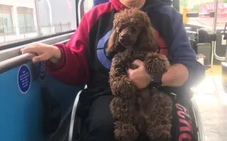 Elektrický pohon k vozíku pro Evu s DMO