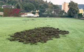 Oplocení fotbalového hřiště proti divokým prasatům