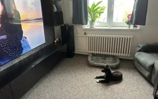 Pomoc pro malinkou Meggie