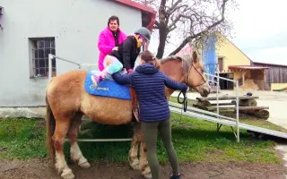 Přispějte na operaci hiporehabilitační klisny Kenyi, aby mohla dále pomáhat