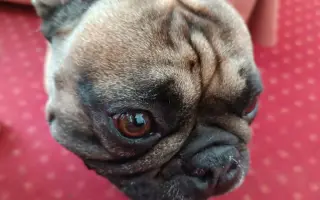 Pomohli jste Edovi k lepšímu zdraví