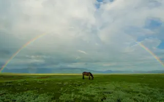 Podpořte knihu Mongolskem v sedle