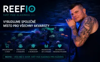 PODPOŘTE REEFIO – VYBUDUJME SPOLEČNĚ MÍSTO PRO VŠECHNY AKVARISTY