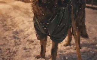 Pomoc Furině v boji s lupusem (SLE)