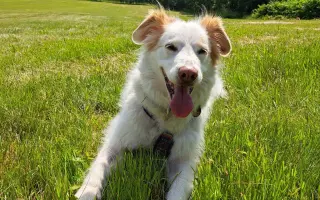 Šťastnější dny pro Miu