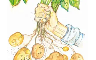 Pomozte vydat knihu v angličtině!