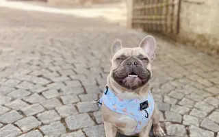 Archie bojuje. A my s ním ♥️