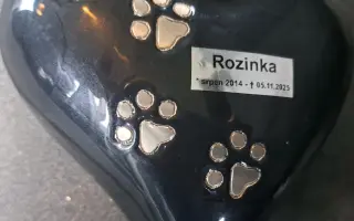 Úžasná Rozinka, která celý život pomáhala, nyní sama potřebuje pomoc