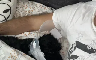 Pomoc s úhradou operace pro Danteho🐕​🙏