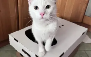 Sbírka pro Eliotka s nemocí FIP