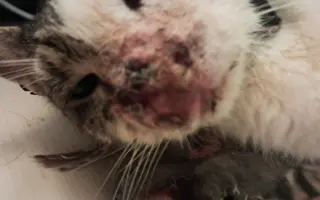 Filípek chce žít: pomoz mu porazit nádor