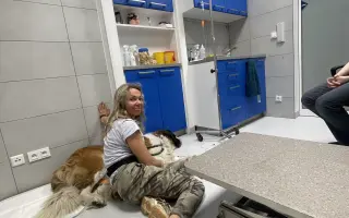 Pomozte mi prosím zachránit mého tříletého Bernardýna ALVARA