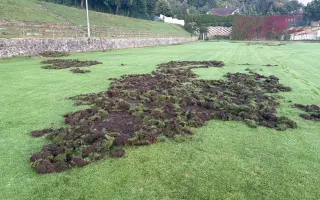 Oplocení fotbalového hřiště proti divokým prasatům