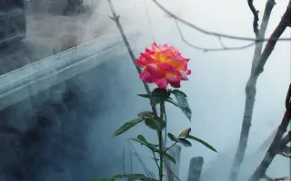 Podpořte vydání autorské knihy AND THERE WAS MORNING, THE SECOND DAY