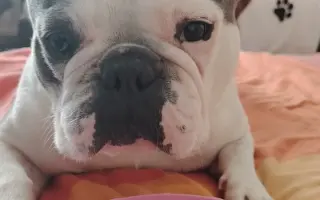 Zachráňte Marilyn bojující s rakovinou