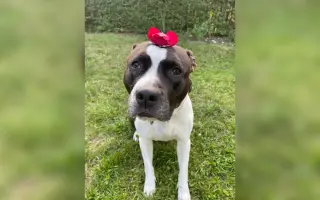 Mia ví, že čas běží… my můžeme prodloužit její chvíle