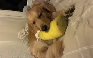 Kroky, které nebolí: Mauriho 4.bitva