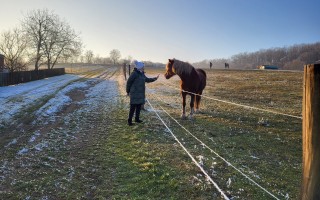 "Společně proti rakovině: Dejme Ole šanci na život"