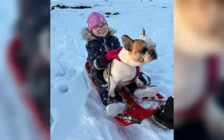 Operace pro buldočku Betty, která jí může zachránit život