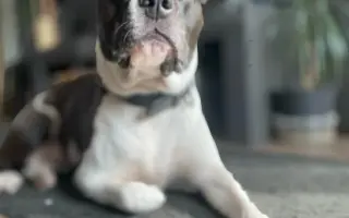 Mia ví, že čas běží… my můžeme prodloužit její chvíle