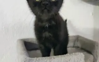 Pomoc pro spolek Kapka pro tlapky