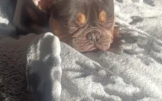 Pomozte Jasmínce běhat bez bolesti ❤️