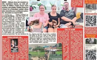 Pomozme Xyrušče znovu běhat 🐾♥️